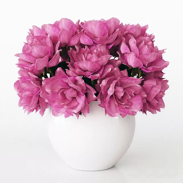 PLANT 3D MODELS – FLOWER 3D MODELS – 479