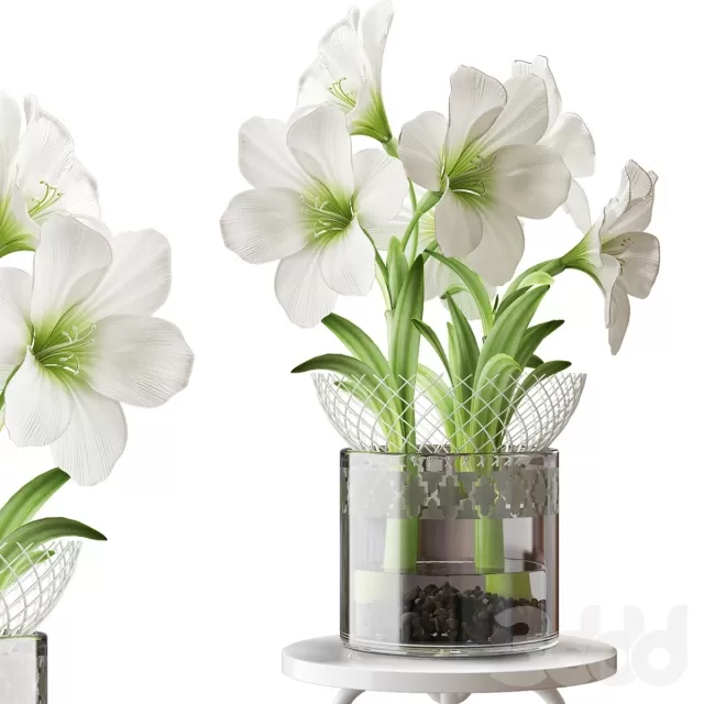 PLANT 3D MODELS – FLOWER 3D MODELS – 489