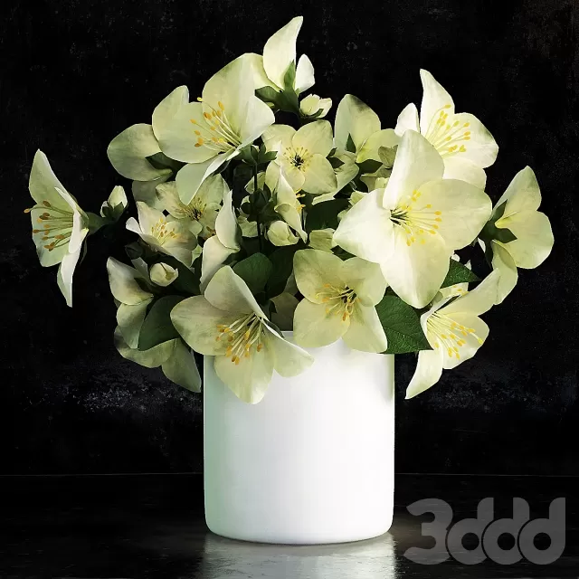 PLANT 3D MODELS – FLOWER 3D MODELS – 491