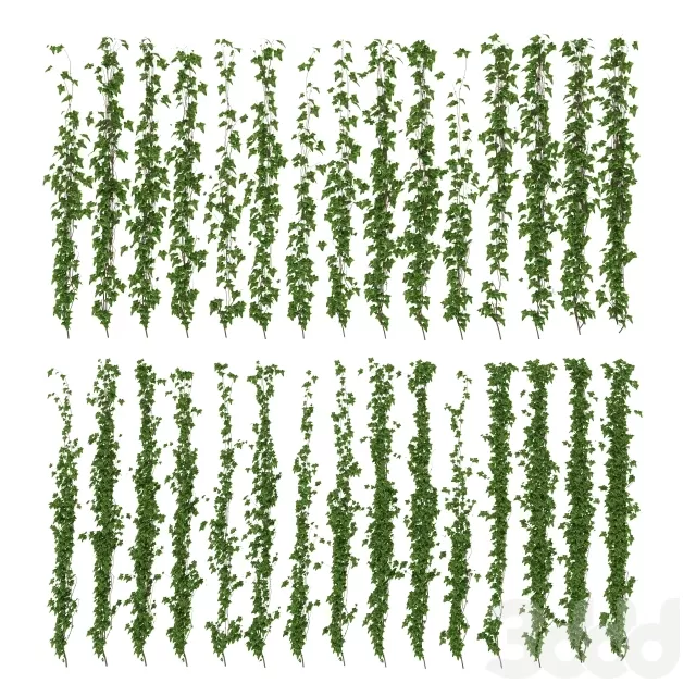 PLANT 3D MODELS – FLOWER 3D MODELS – 492