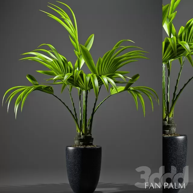PLANT 3D MODELS – FLOWER 3D MODELS – 512