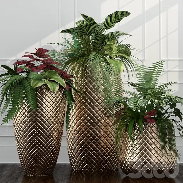 PLANT 3D MODELS – FLOWER 3D MODELS – 529