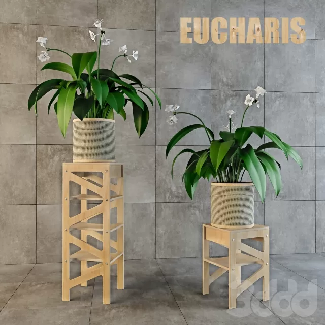 PLANT 3D MODELS – FLOWER 3D MODELS – 536