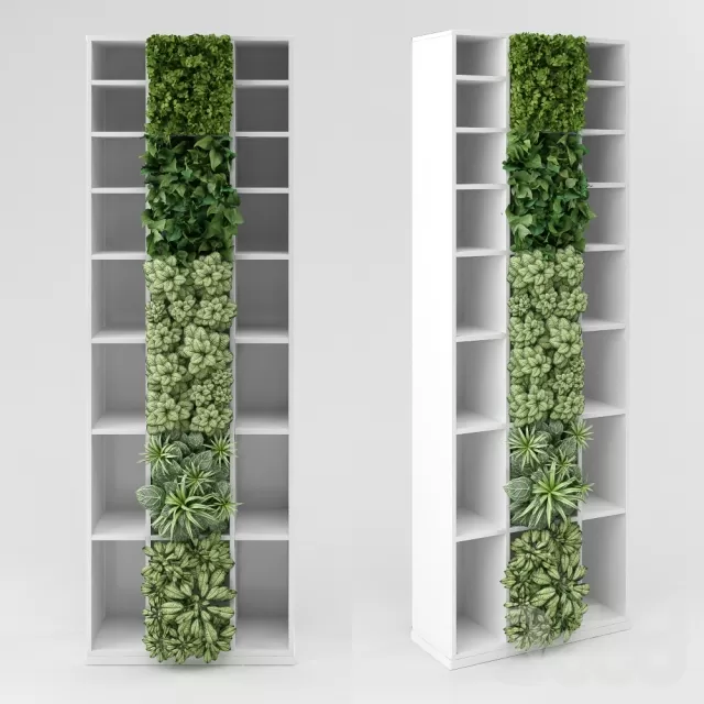 PLANT 3D MODELS – FLOWER 3D MODELS – 556