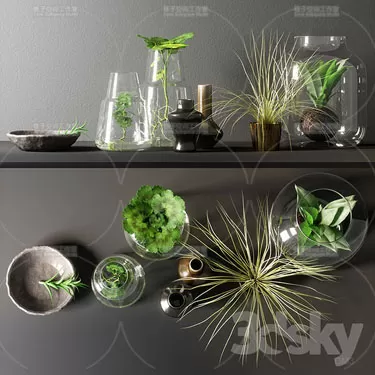 PLANT 3D MODELS – FLOWER 3D MODELS – 562