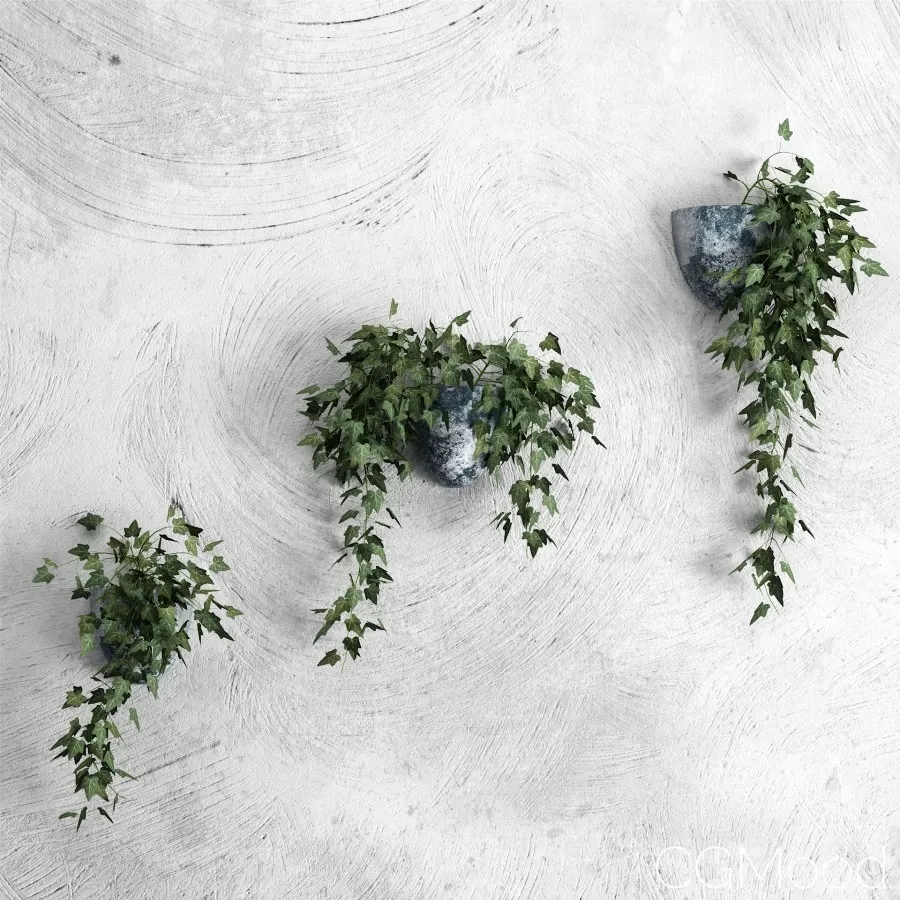 PLANT 3D MODELS – FLOWER 3D MODELS – 564