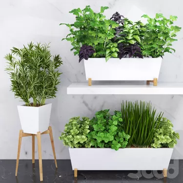 PLANT 3D MODELS – FLOWER 3D MODELS – 058