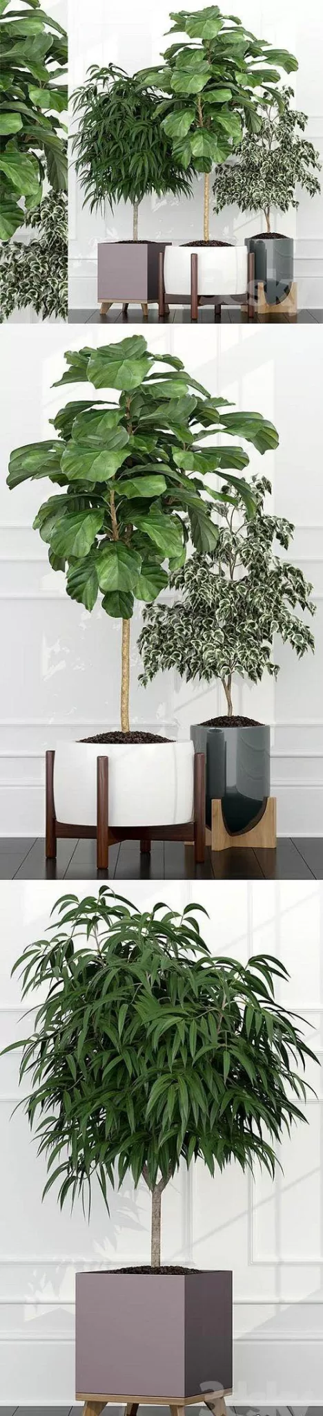 PLANT 3D MODELS – FLOWER 3D MODELS – 574