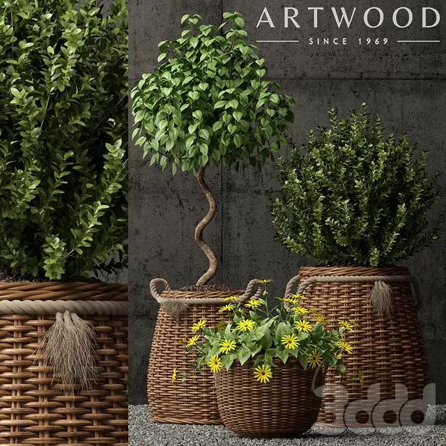 PLANT 3D MODELS – FLOWER 3D MODELS – 069