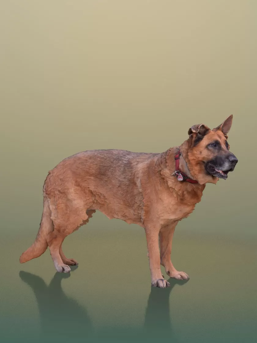 3D HUMAN – PRO MODELS – 305