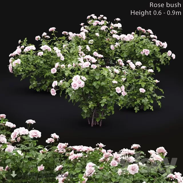 3DSKY PRO MODELS – FURNITURE 3D MODELS – 558