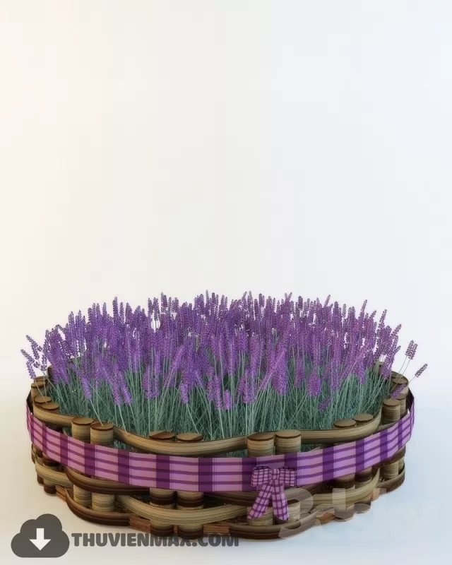 3DSKY PRO MODELS – 016