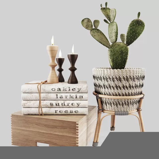 3DSKY PRO MODELS – 030