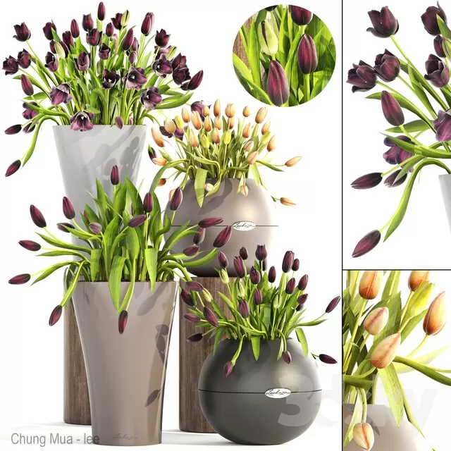 DECOR HELPER – DECOR – FLOWER 3D MODELS – 109