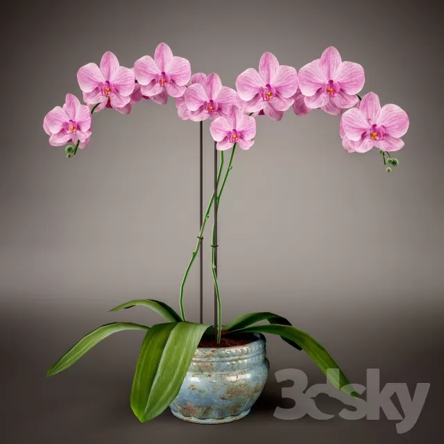 DECOR HELPER – DECOR – FLOWER 3D MODELS – 3