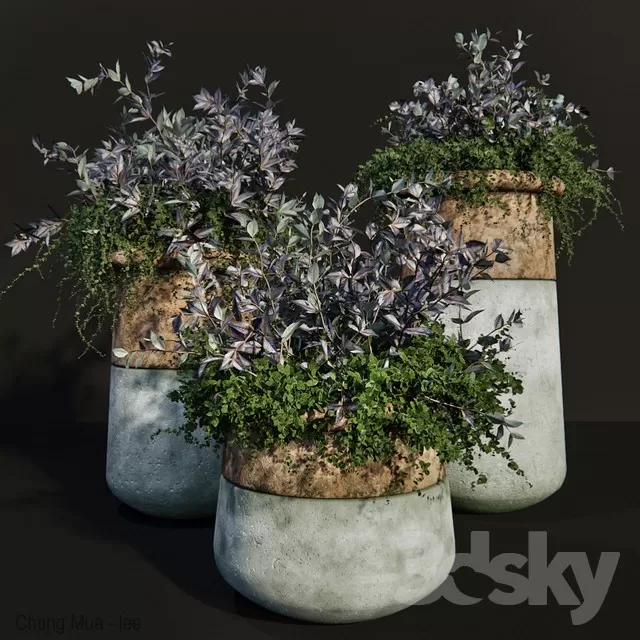 DECOR HELPER – DECOR – FLOWER 3D MODELS – 100