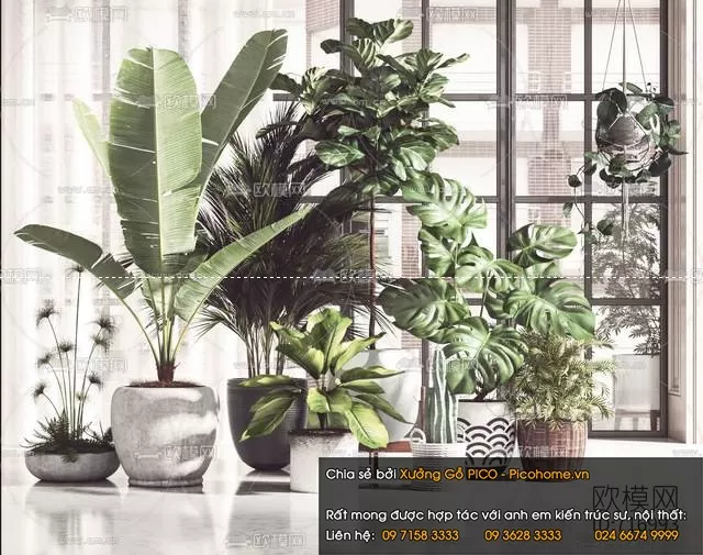 FLOWER – PLANT 3D MODELS – 002 FLOWER – PLANT 3D MODELS – 002