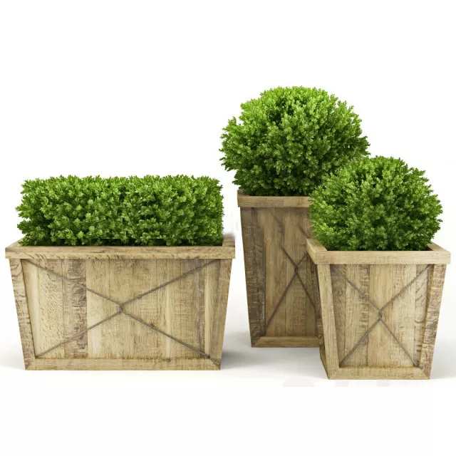 FLOWER – PLANT 3D MODELS – 1004 FLOWER – PLANT 3D MODELS – 1004