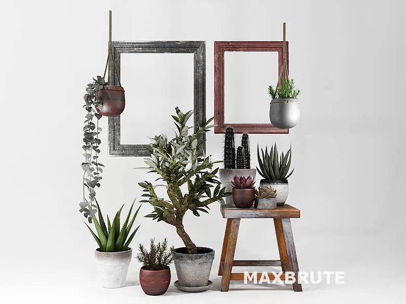 FLOWER – PLANT 3D MODELS – 1010 FLOWER – PLANT 3D MODELS – 1010