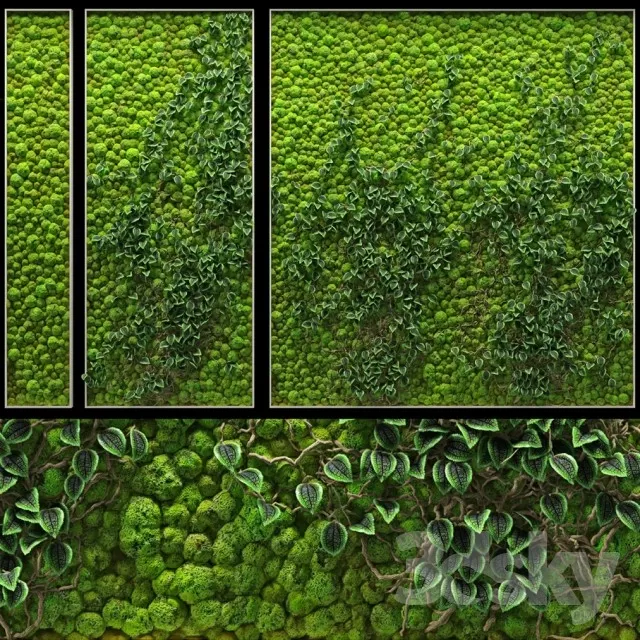 FLOWER – PLANT 3D MODELS – 107 FLOWER – PLANT 3D MODELS – 107