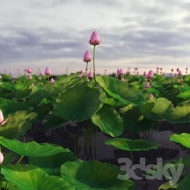 FLOWER – PLANT 3D MODELS – 115 FLOWER – PLANT 3D MODELS – 115