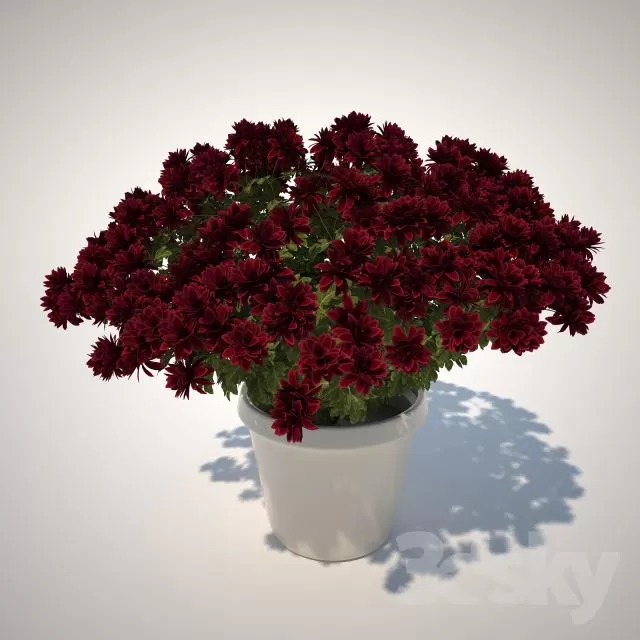FLOWER – PLANT 3D MODELS – 118 FLOWER – PLANT 3D MODELS – 118
