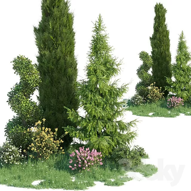 FLOWER – PLANT 3D MODELS – 127 FLOWER – PLANT 3D MODELS – 127