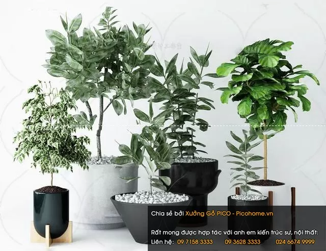 FLOWER – PLANT 3D MODELS – 130 FLOWER – PLANT 3D MODELS – 130