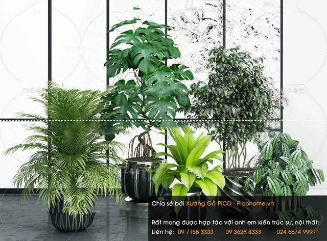 FLOWER – PLANT 3D MODELS – 014 FLOWER – PLANT 3D MODELS – 014