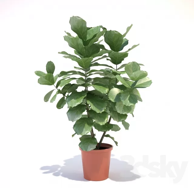 FLOWER – PLANT 3D MODELS – 140 FLOWER – PLANT 3D MODELS – 140