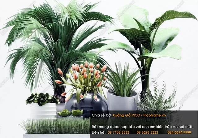 FLOWER – PLANT 3D MODELS – 015 FLOWER – PLANT 3D MODELS – 015