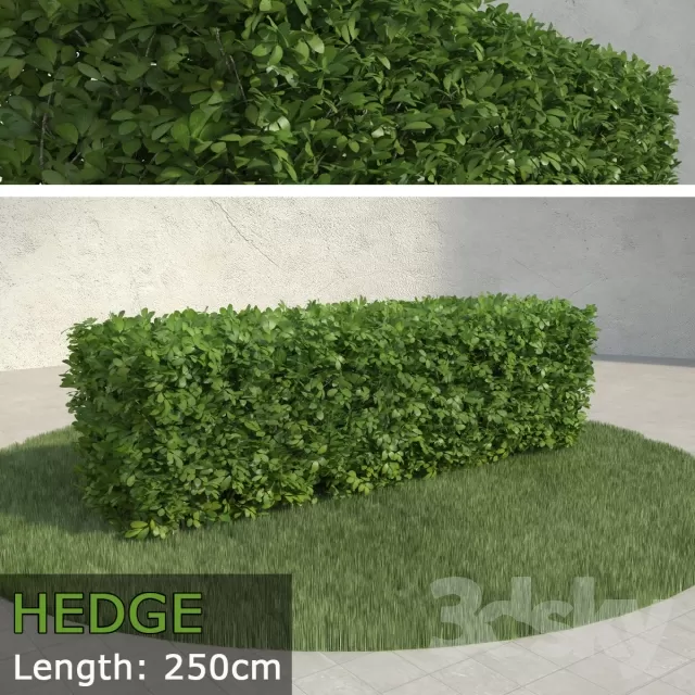 FLOWER – PLANT 3D MODELS – 142 FLOWER – PLANT 3D MODELS – 142