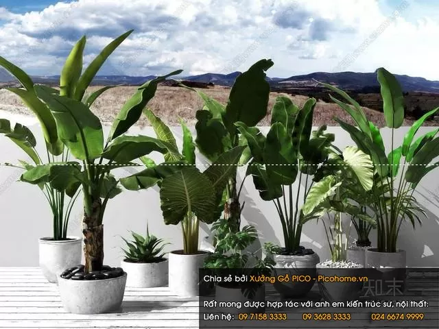 FLOWER – PLANT 3D MODELS – 150 FLOWER – PLANT 3D MODELS – 150