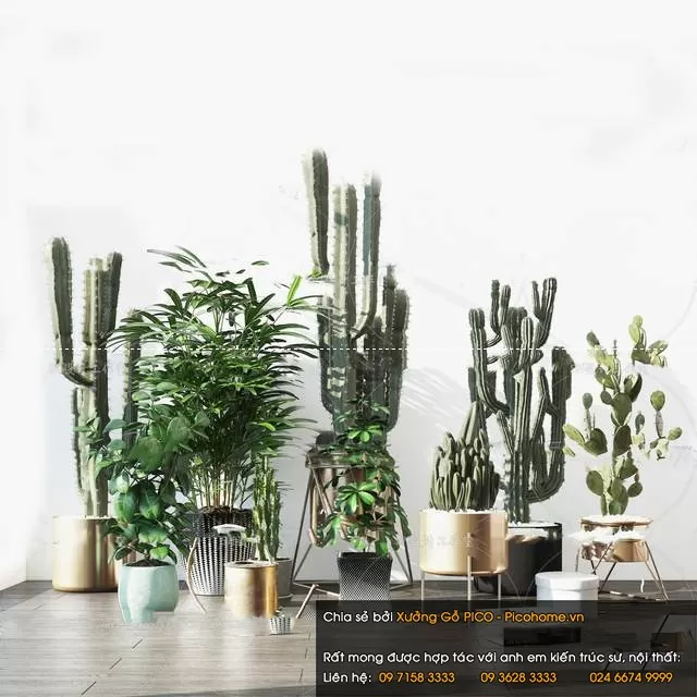 FLOWER – PLANT 3D MODELS – 017 FLOWER – PLANT 3D MODELS – 017