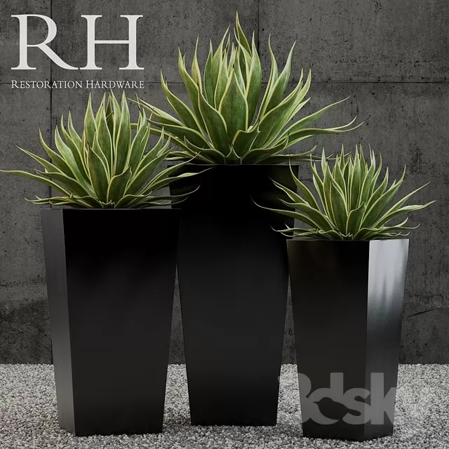 FLOWER – PLANT 3D MODELS – 162 FLOWER – PLANT 3D MODELS – 162