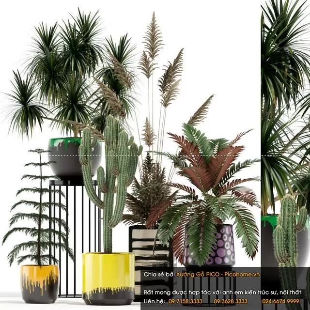 FLOWER – PLANT 3D MODELS – 173 FLOWER – PLANT 3D MODELS – 173