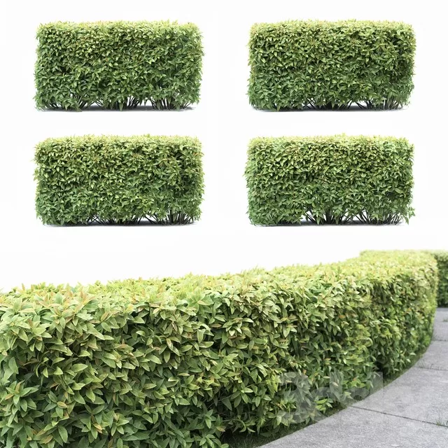 FLOWER – PLANT 3D MODELS – 194 FLOWER – PLANT 3D MODELS – 194