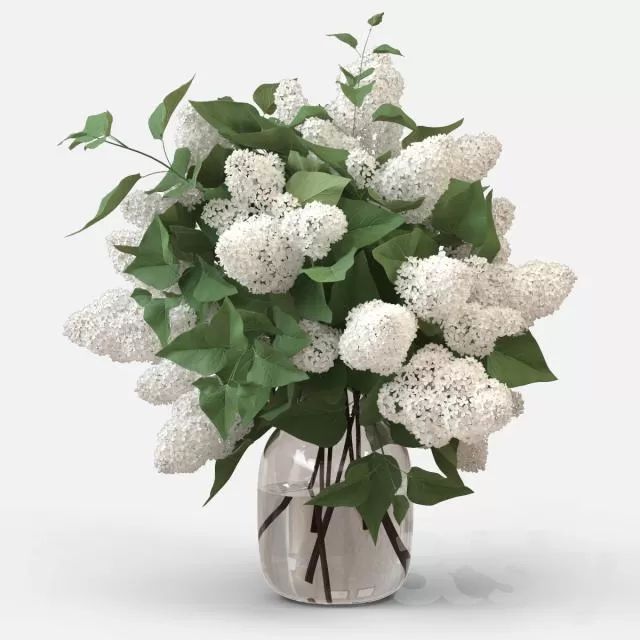 FLOWER – PLANT 3D MODELS – 201 FLOWER – PLANT 3D MODELS – 201