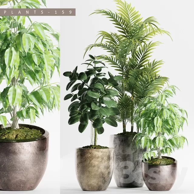 FLOWER – PLANT 3D MODELS – 203 FLOWER – PLANT 3D MODELS – 203