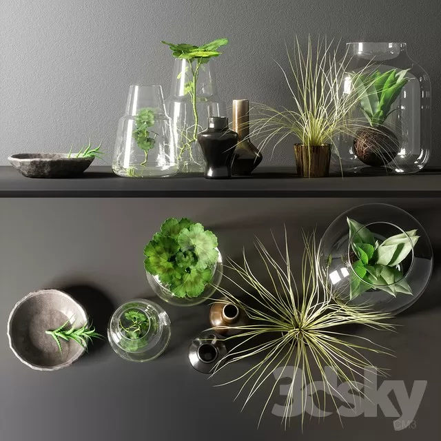 FLOWER – PLANT 3D MODELS – 207 FLOWER – PLANT 3D MODELS – 207