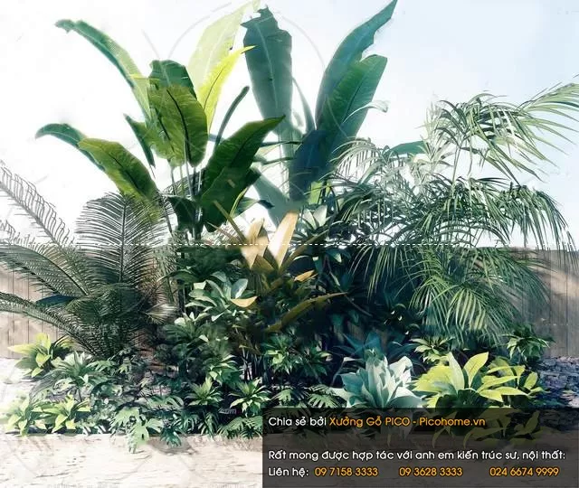 FLOWER – PLANT 3D MODELS – 211 FLOWER – PLANT 3D MODELS – 211