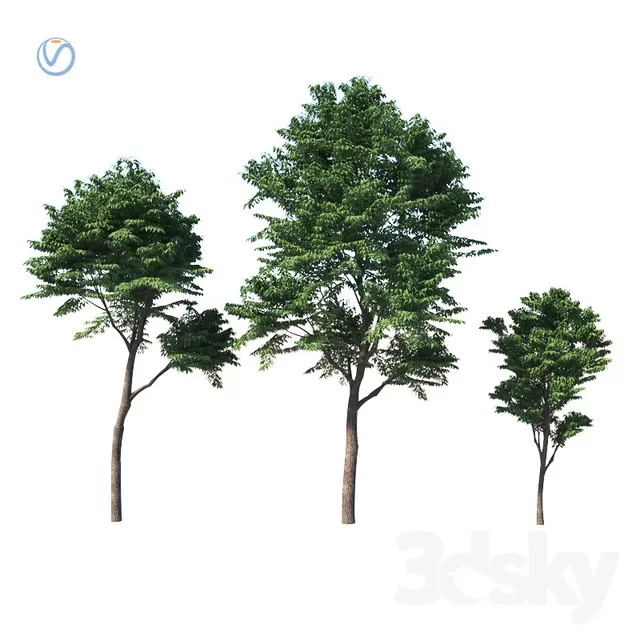FLOWER – PLANT 3D MODELS – 225 FLOWER – PLANT 3D MODELS – 225