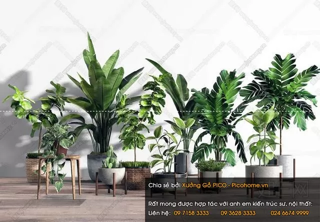 FLOWER – PLANT 3D MODELS – 227 FLOWER – PLANT 3D MODELS – 227