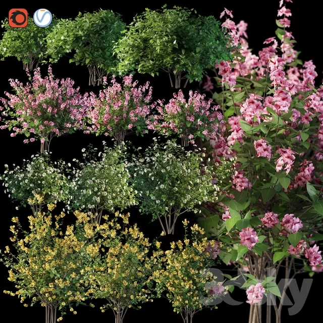 FLOWER – PLANT 3D MODELS – 025 FLOWER – PLANT 3D MODELS – 025