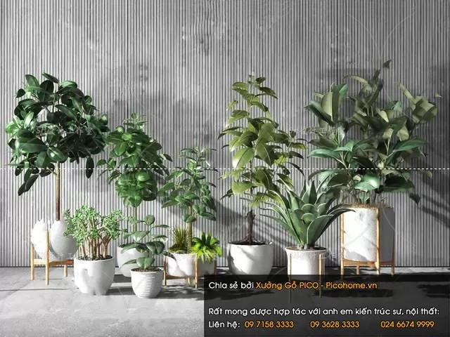 FLOWER – PLANT 3D MODELS – 251 FLOWER – PLANT 3D MODELS – 251