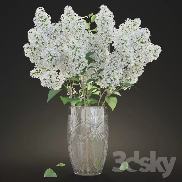 FLOWER – PLANT 3D MODELS – 274 FLOWER – PLANT 3D MODELS – 274