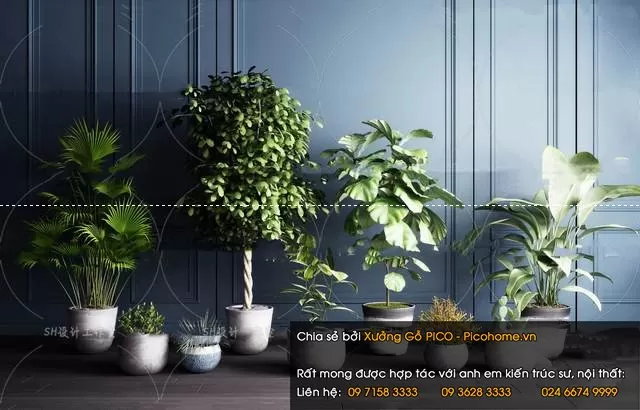 FLOWER – PLANT 3D MODELS – 301 FLOWER – PLANT 3D MODELS – 301