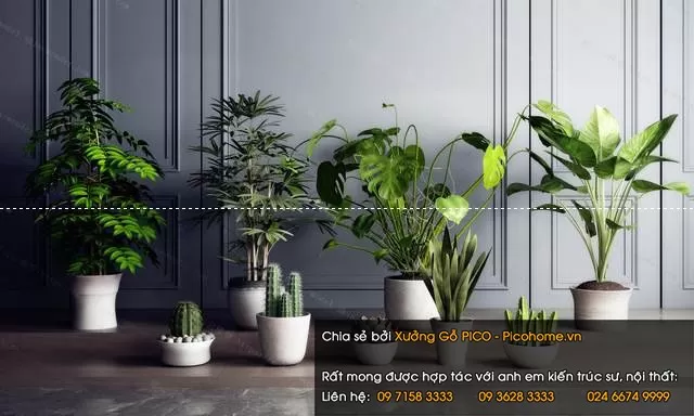 FLOWER – PLANT 3D MODELS – 335 FLOWER – PLANT 3D MODELS – 335