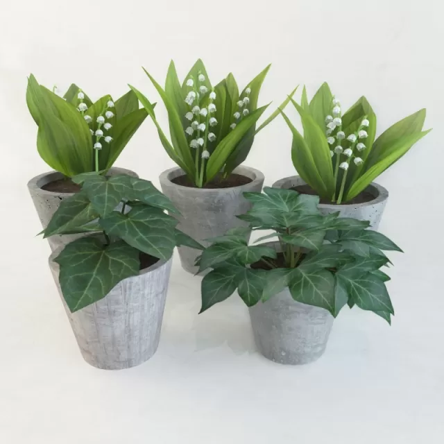 FLOWER – PLANT 3D MODELS – 337 FLOWER – PLANT 3D MODELS – 337