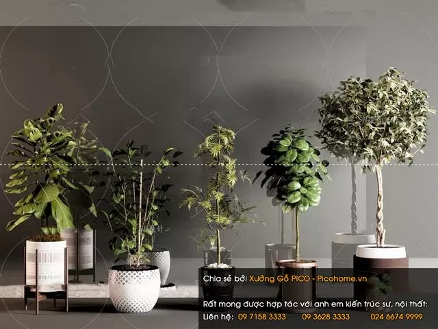 FLOWER – PLANT 3D MODELS – 341 FLOWER – PLANT 3D MODELS – 341